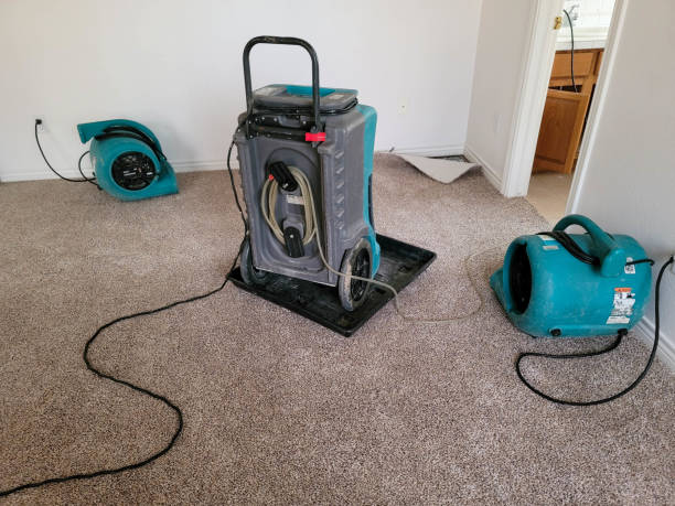 Best 24/7 water damage repair  in Princeton, KY