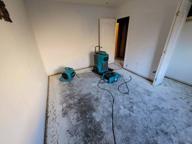 Best Water damage restoration cost  in Princeton, KY