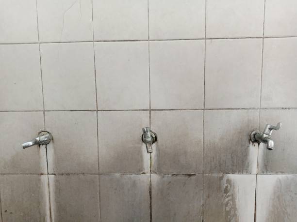 Best Fire Damage Restoration  in Princeton, KY